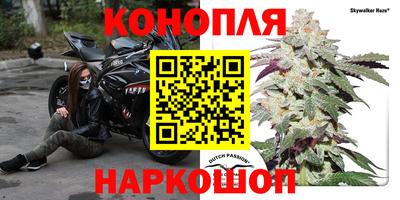 МДПВ Тара