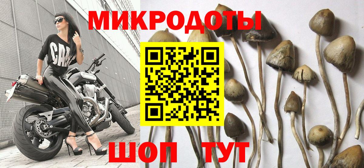Псилоцибиновые грибы мухоморы  Вход с VPN  Новодвинск  Галлюциногенные грибы мицелий 