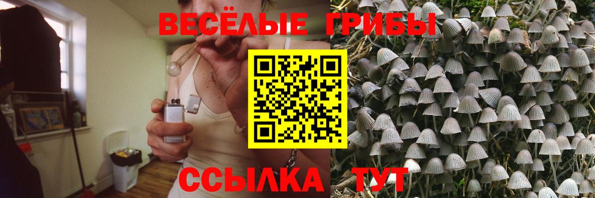 Галлюциногенные грибы мицелий Новодвинск